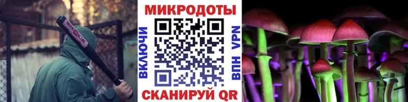 где можно купить   Татарск  площадка формула  Псилоцибиновые грибы Psilocybe 